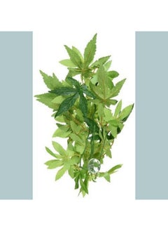 HAGEN Exo Terra Silk Terrarium Plant, Small, Abutilon  - Image 4