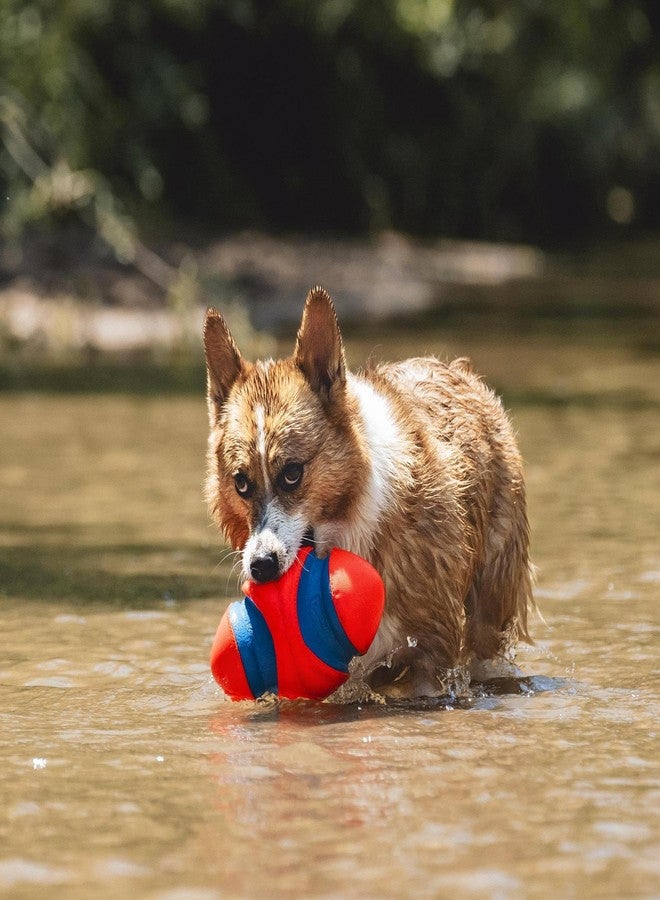 Chuckit! Fumble Fetch Dog Toy, Random Bounce Football-Shaped Fetch Toy for Interactive Play, Durable Rubber, Puncture Resistant Ball for Dogs, Small - Image 5