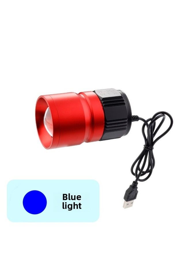 12v Night Fishing Lamp 5v Blue Light Strong Light Usb Fishing Lamp Cap White Blue Double Light Source Super Bright Outdoor Fishing Lamp-Color:5V USB [Blu-ray  - Image 1