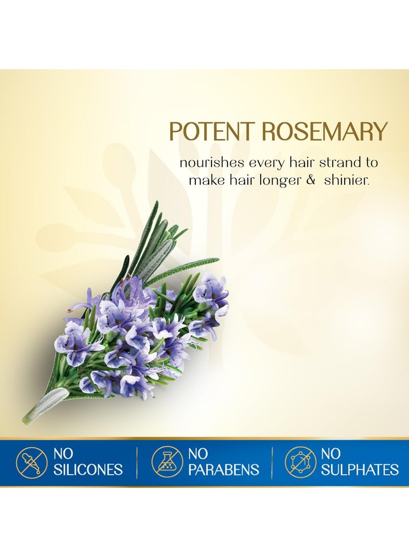 هيربس إنديا زيت شعر الروزماري و 7 بذور أعشاب 180 مل - Image 4