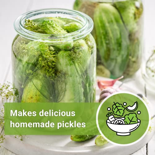 Sow Right Seeds - National Pickling Cucumber Seeds for Planting - Non-GMO Heirloom Packet with Instructions to Plant and Grow a Home Vegetable Garden - Famous Variety for Homemade Pickles (1) - Image 5