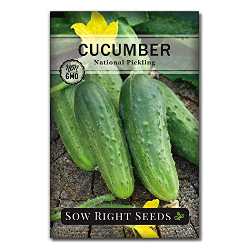 Sow Right Seeds - National Pickling Cucumber Seeds for Planting - Non-GMO Heirloom Packet with Instructions to Plant and Grow a Home Vegetable Garden - Famous Variety for Homemade Pickles (1) - Image 1