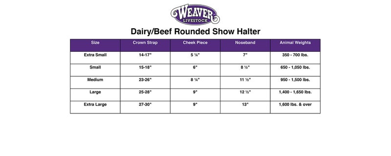 Weaver Leather Livestock Dairy/Beef Rounded Show Halter , Brown , X-Small - Image 3