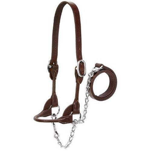 Weaver Leather Livestock Dairy/Beef Rounded Show Halter , Brown , X-Small - Image 1