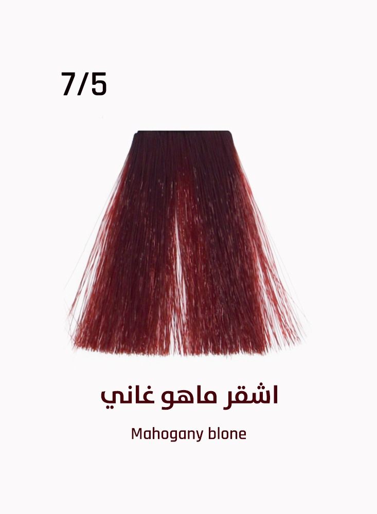 إيفر لاين صبغة الشعر ون 1.5 ايفر لاين /اشقر موغاني 7/5 - Image 3