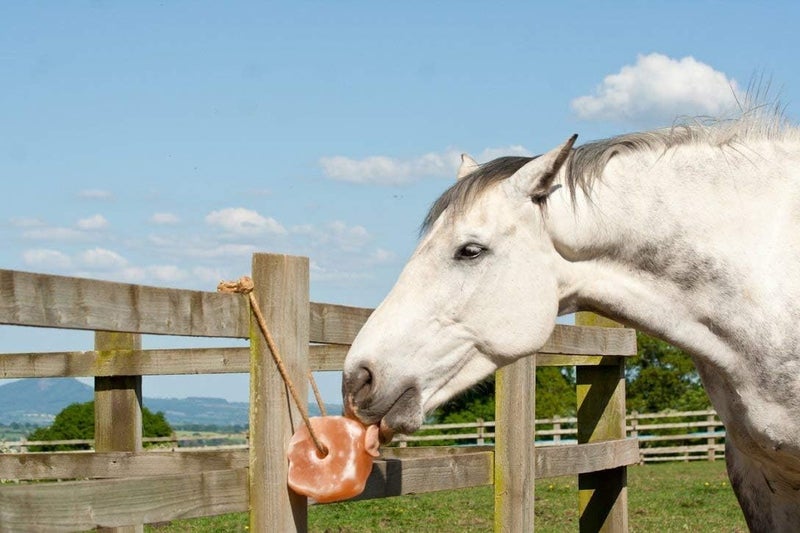 UmAid Himalayan Salt Lick 6 lbs On Rope for Horse, Deer, Goat, and Livestock Animals - Himalayan Salt Block 1 Pack - Image 2
