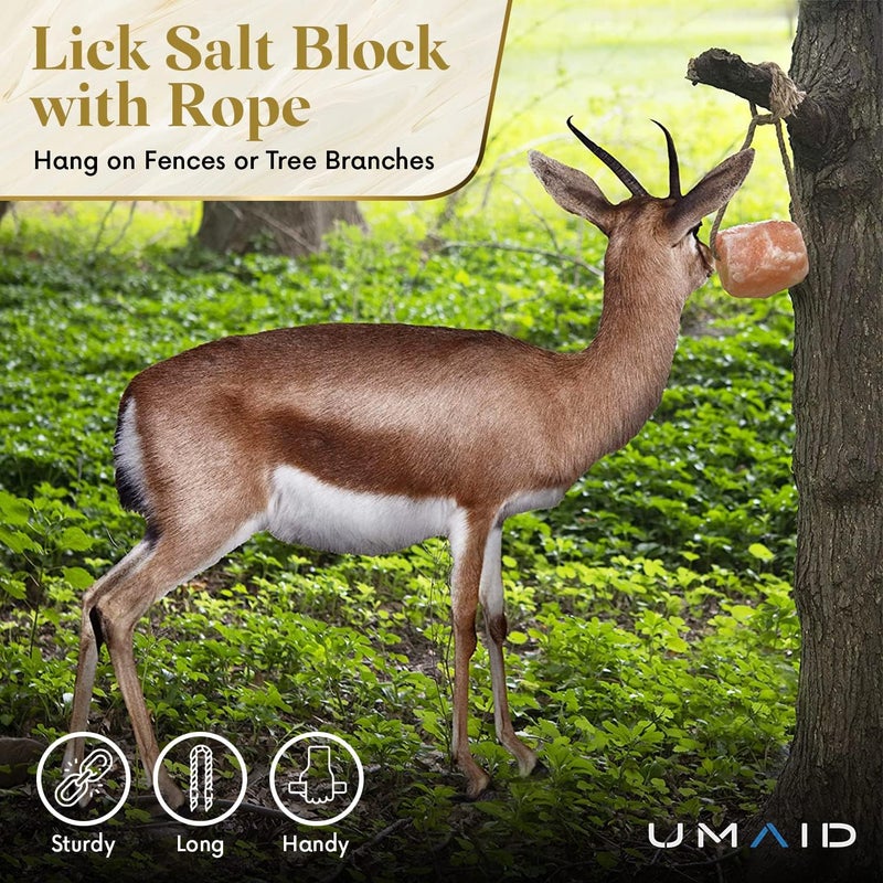 UmAid Himalayan Salt Lick 6 lbs On Rope for Horse, Deer, Goat, and Livestock Animals - Himalayan Salt Block 1 Pack - Image 4