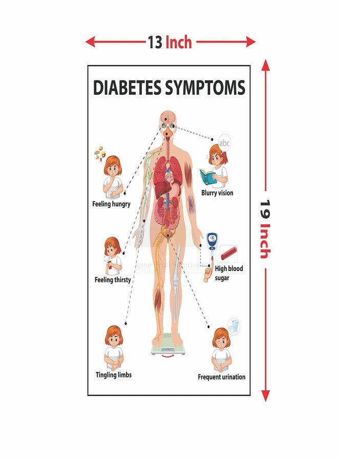 Anne Print Solutions® Diabetes Symptoms Poster (Without Frame) For Hospital Poster | Nursing Home Poster Pack Of 1 Pcs Size 13 Inch X 19 Inch* Multicolour - Image 2