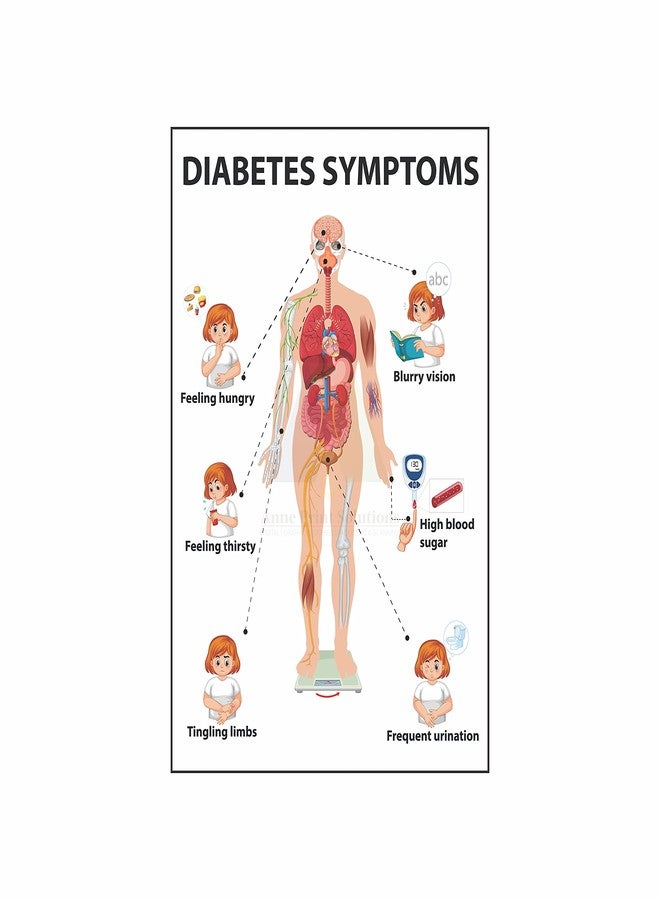 Anne Print Solutions® Diabetes Symptoms Poster (Without Frame) For Hospital Poster | Nursing Home Poster Pack Of 1 Pcs Size 13 Inch X 19 Inch* Multicolour - Image 1