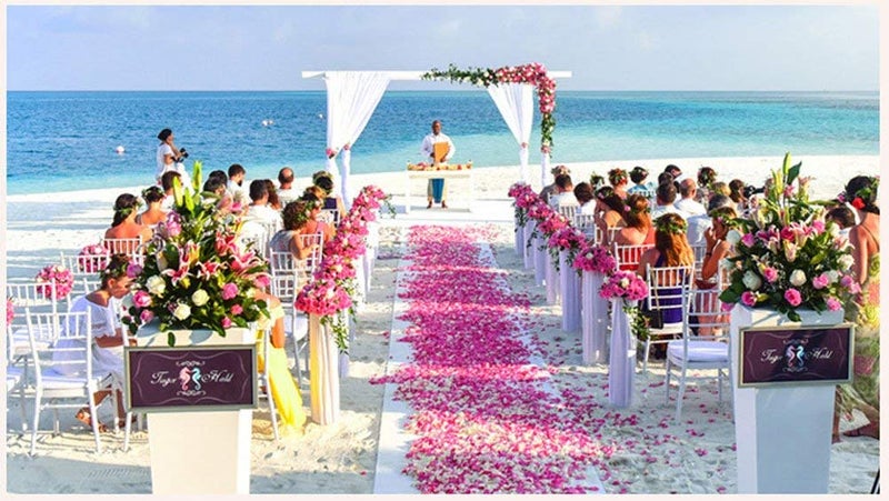 Ocharzy 1000 Pcs Rose Petals Fake Rose Petals For Romantic Night  Wedding Flower Decoration  Party  Events (Light Purple) - Image 4