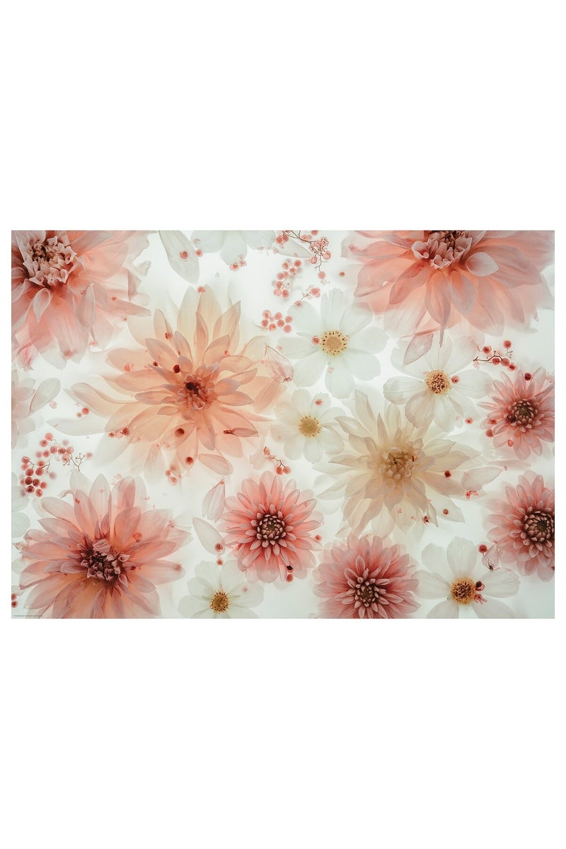 BILD Poster, flowers-transparent, 70 x 50 cm - Image 1