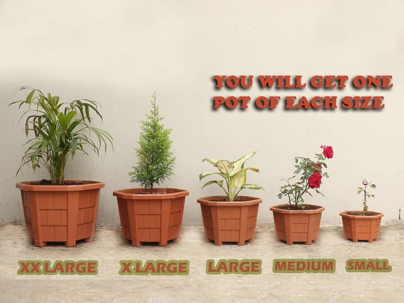 Halsey Hexagonal Plastic Pots, Flower Plant Pot Pack of 4, XX Large Durable Plant Pot, Hexagonal Pot Pack of 4, Outdoor Plants Pot, Flower Plastic Pot, Plants Plastic Flower Pot - Image 2
