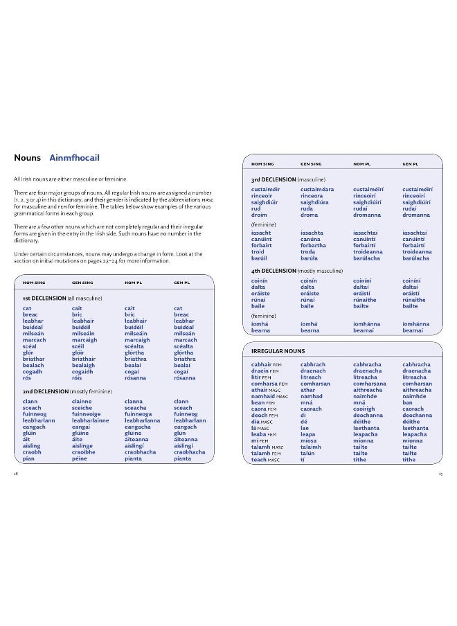 null - Easy Learning Irish Dictionary: Trusted Support for Learning - Image 1