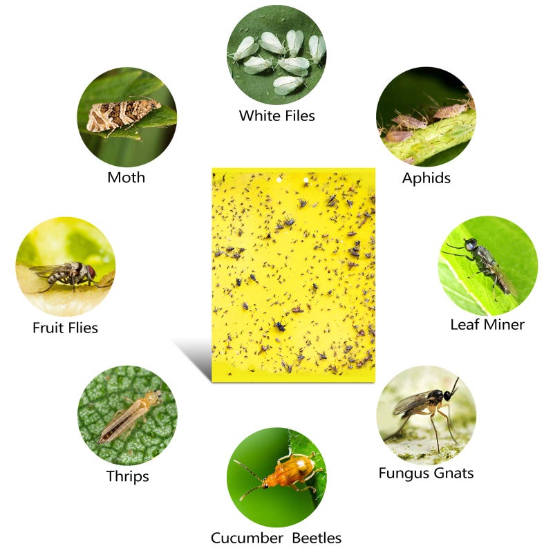 Garutom 20-Pack Dual-Sided Yellow Sticky Traps for Flying Plant Insect Such as Fungus Gnats, Whiteflies, Aphids, Leafminers, etc (6x8 Inches, Included 20pcs Twist Ties) - Image 4