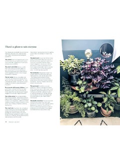 Green Home: The Joy of Living with Plants  - Image 5