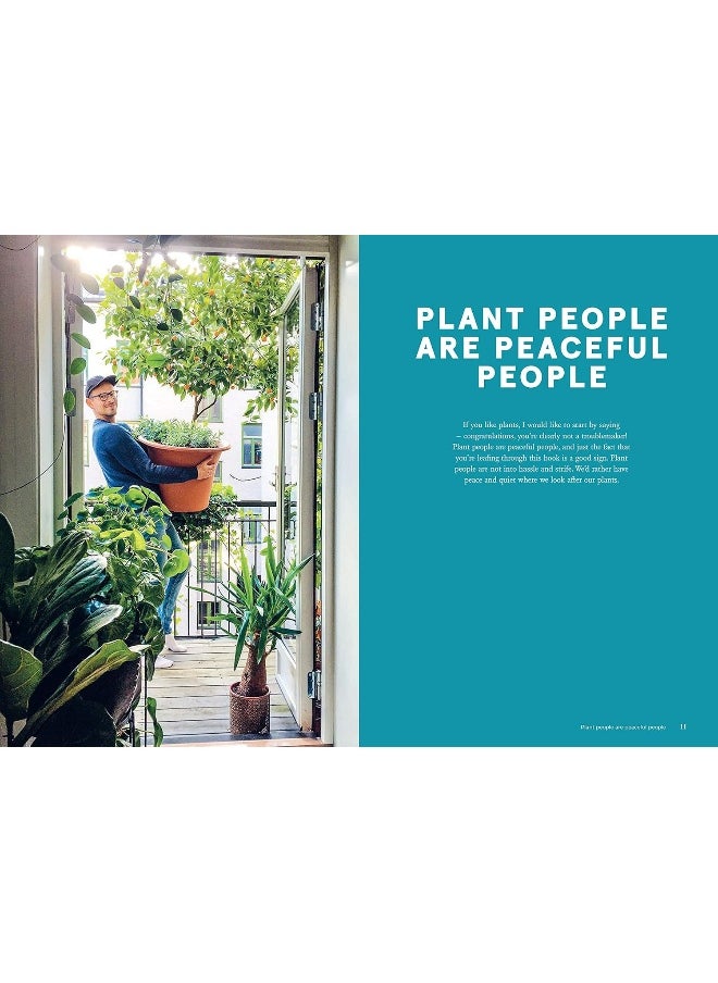 Green Home: The Joy of Living with Plants  - Image 3