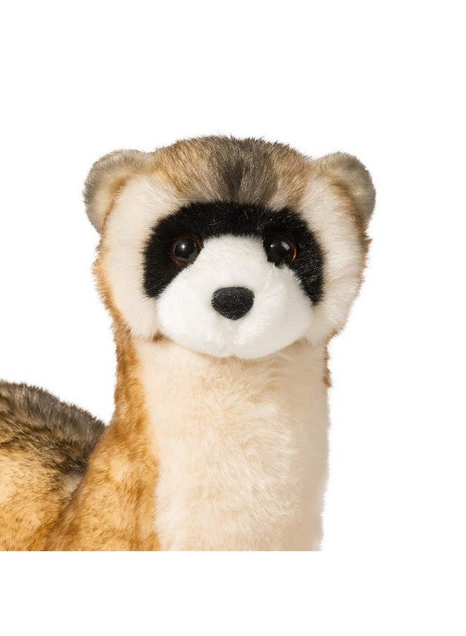 Douglas Vince Black Footed Ferret Plush Stuffed Animal - Image 3