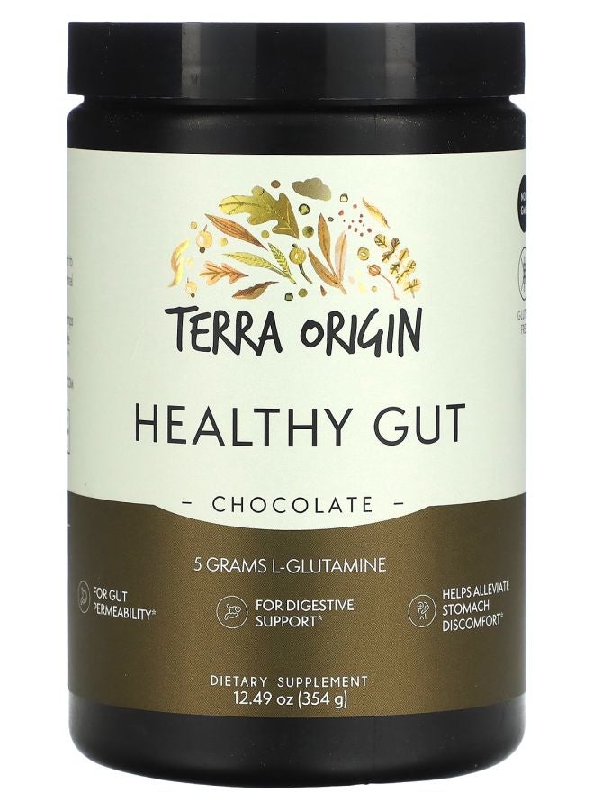 Terra Origin Healthy Gut Chocolate 12.49 oz (354 g)