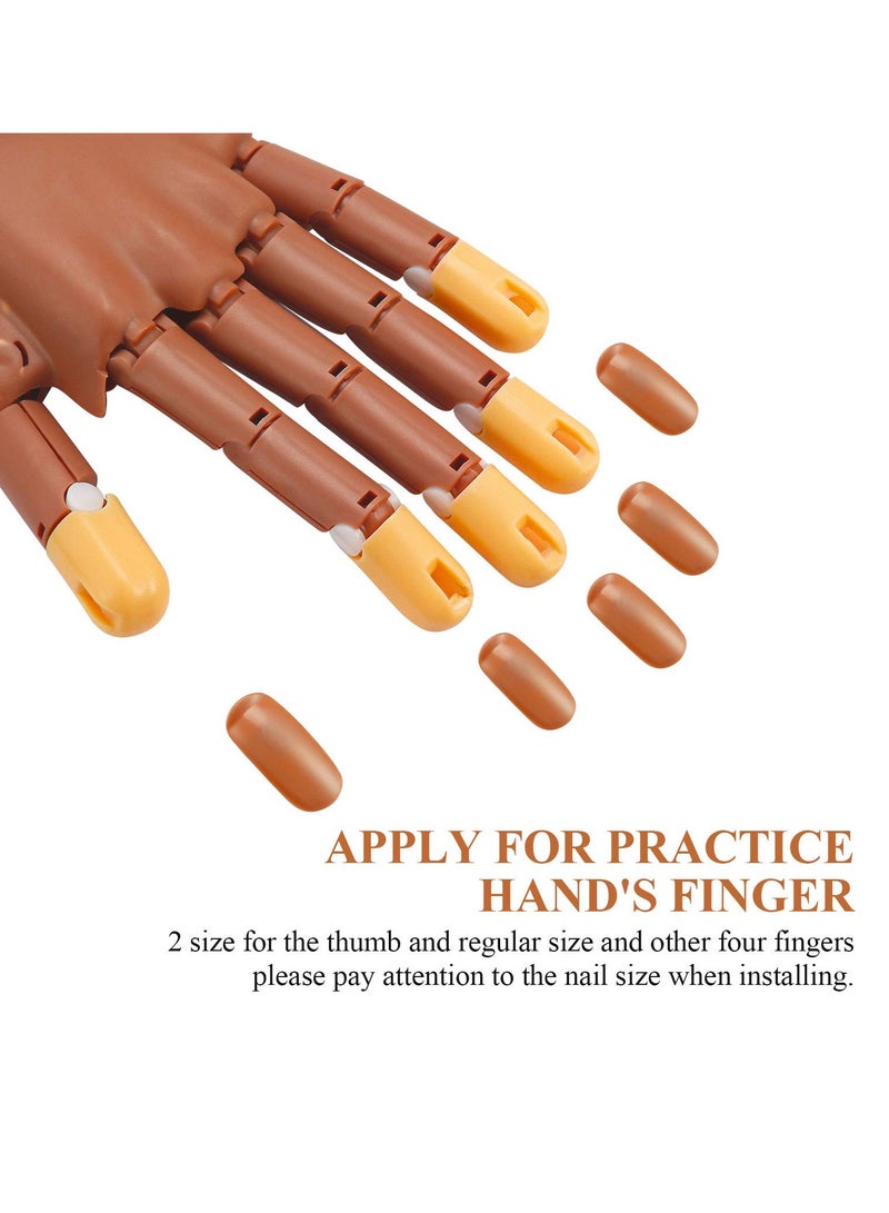 Practice Nail Tips, Replacement Refill False Tips for Flexible Training Hand Fake Display Manicure Supply DIY 400 Pcs, Brown - Image 2