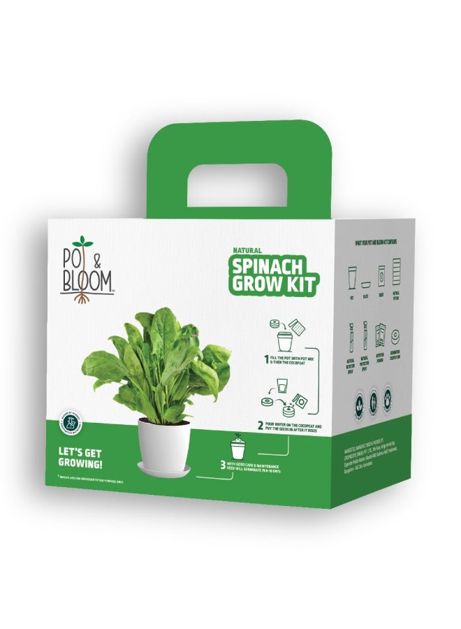 POT & BLOOM Pot and Bloom Gardening Kit Spinach Kit. Perfect for Home Garden, Includes - Seeds, Garden Pot, Potting Mix, Nutrition & Protection Spray. Gardening Tools Kit for Kit, Return Gift for Birthdays  - Image 1