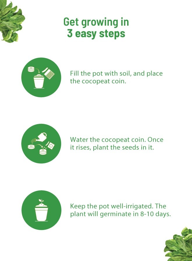 POT & BLOOM Pot and Bloom Gardening Kit Spinach Kit. Perfect for Home Garden, Includes - Seeds, Garden Pot, Potting Mix, Nutrition & Protection Spray. Gardening Tools Kit for Kit, Return Gift for Birthdays  - Image 3