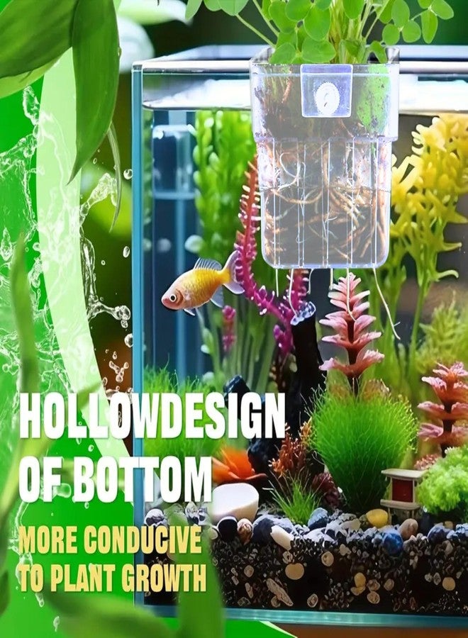 VAYINATO® قطعتان من أوعية نباتات مائية معلقة (مربعة) مصنوعة من الأكريليك الأبيض، مناسبة لأحواض أسماك الزينة، وزراعة النباتات المائية، وتزيين المناظر الطبيعية، وأحواض السمك، من إنتاج Petzlifeworld - Image 5