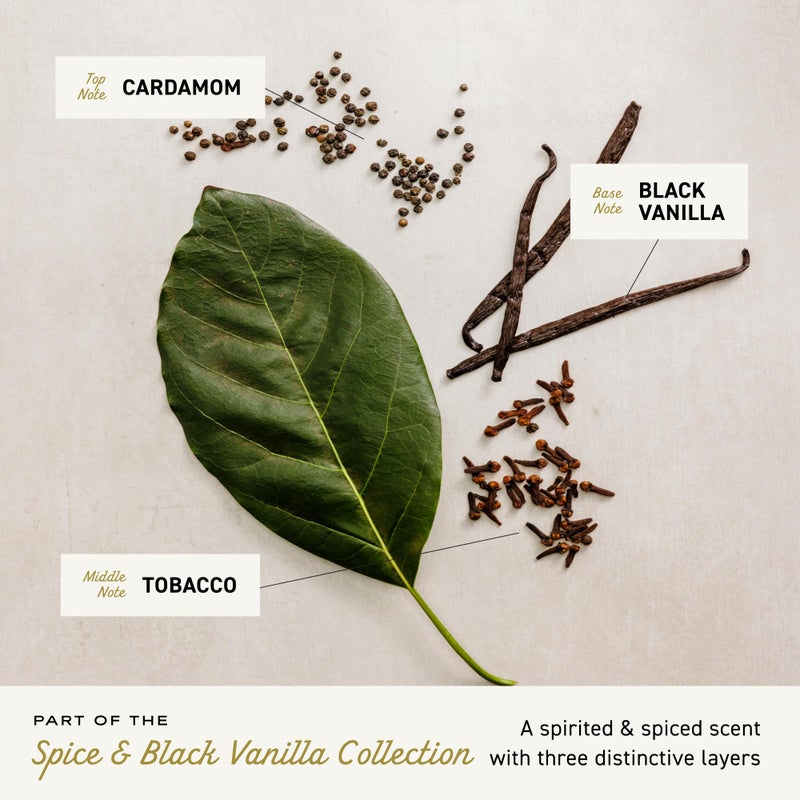 Cremo Rich-Lathering Spice & Black Vanilla Body Wash for Men, Notes of Spices, Dark Woods and Black Vanilla, 32 Fl Oz - Image 3