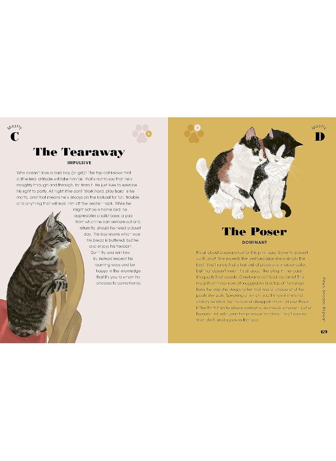 The Cat Purrsonality Test: What Our Feline Friends Are Really Thinking