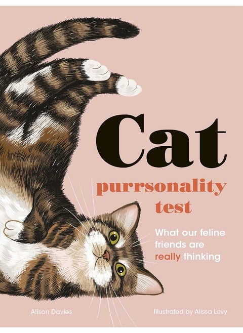 The Cat Purrsonality Test: What Our Feline Friends Are Really Thinking