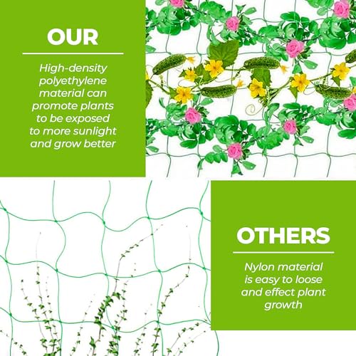 WNE Jaliwale Plant Climbing net & Creeper Net & Plant Trellis Net Plant Support Net Green Color for Agriculture and Gardening Net - 10Feet x 10Feet - Image 4