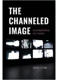 The Channeled Image : Art and Media Politics after Television 