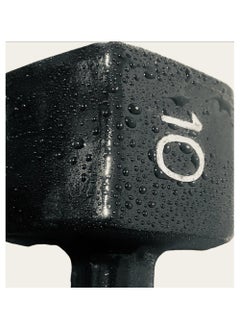 Generic Rubber Dumbbell (10 kg)  - Image 2