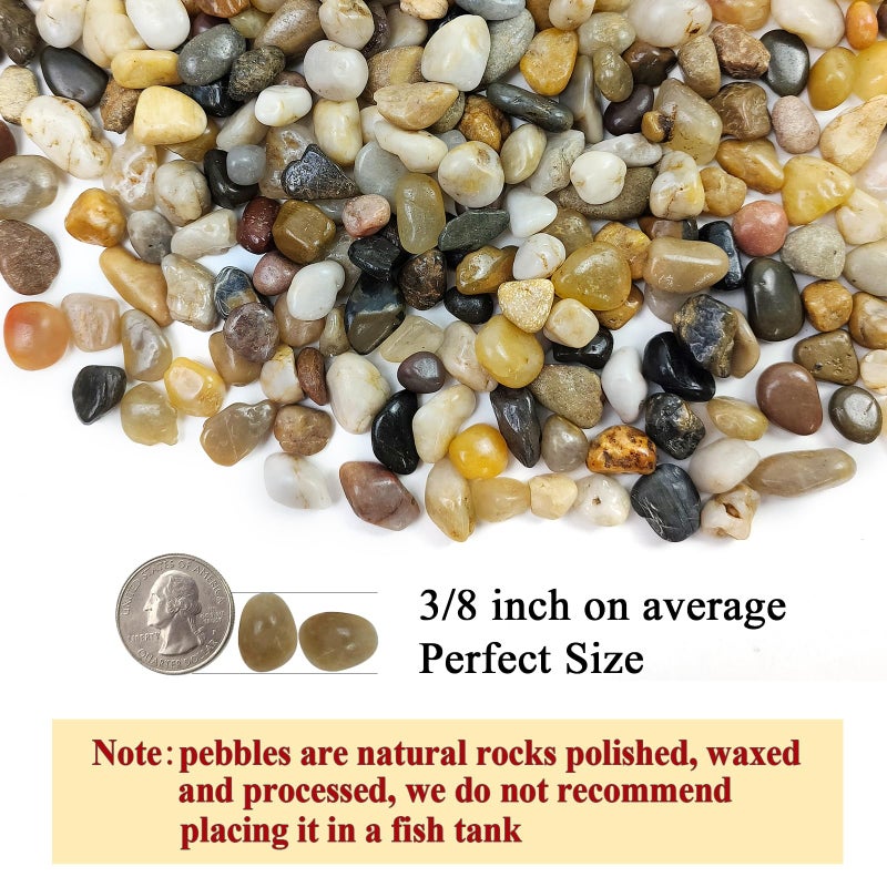 FANTIAN Poilished Fish Tank Gravel, 3/8 Inch Pebbles for Indoor Plants, Decorative Stones River Rocks for Succulent Soil Cover, Cactus, Aquarium, Vase Filler and Outdoor Garden Landscaping - Image 2