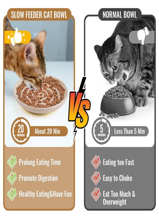 Lfpkixise Slow Feeder Cat Bowl Set of 2, Ceramic Slow Feeding Cats Bowl Whisker Friendly, Anti Vomiting Cat Feeder for Dry and Wet Food，Fun Maze Interactive Bloat Stop Puzzle Bowls for Healthy Eating Diet - Image 5