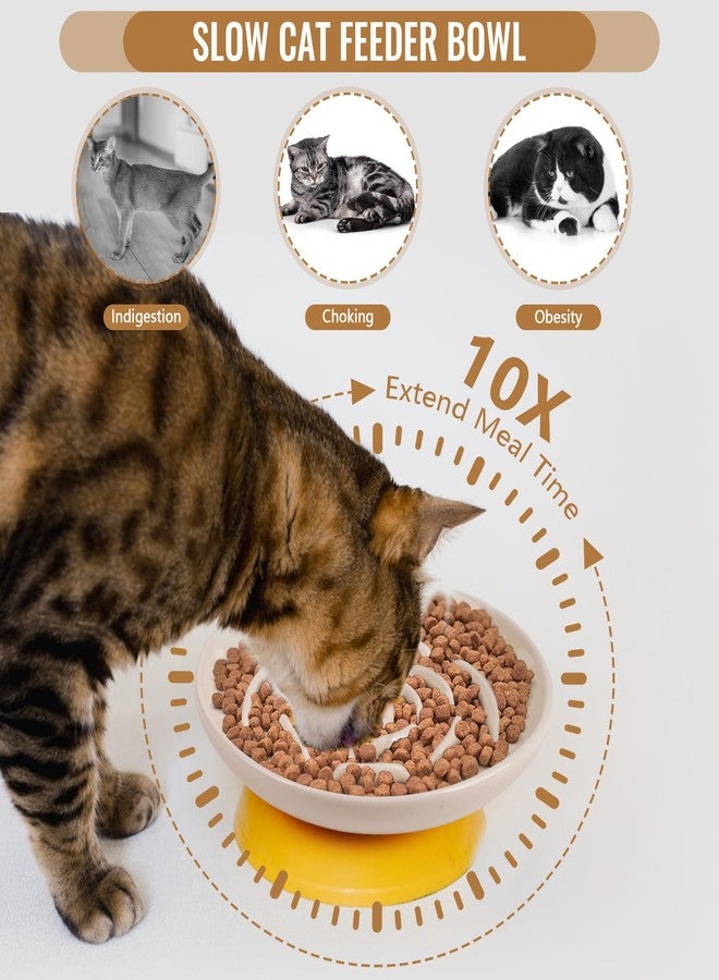 Lfpkixise Slow Feeder Cat Bowl Set of 2, Ceramic Slow Feeding Cats Bowl Whisker Friendly, Anti Vomiting Cat Feeder for Dry and Wet Food，Fun Maze Interactive Bloat Stop Puzzle Bowls for Healthy Eating Diet - Image 3