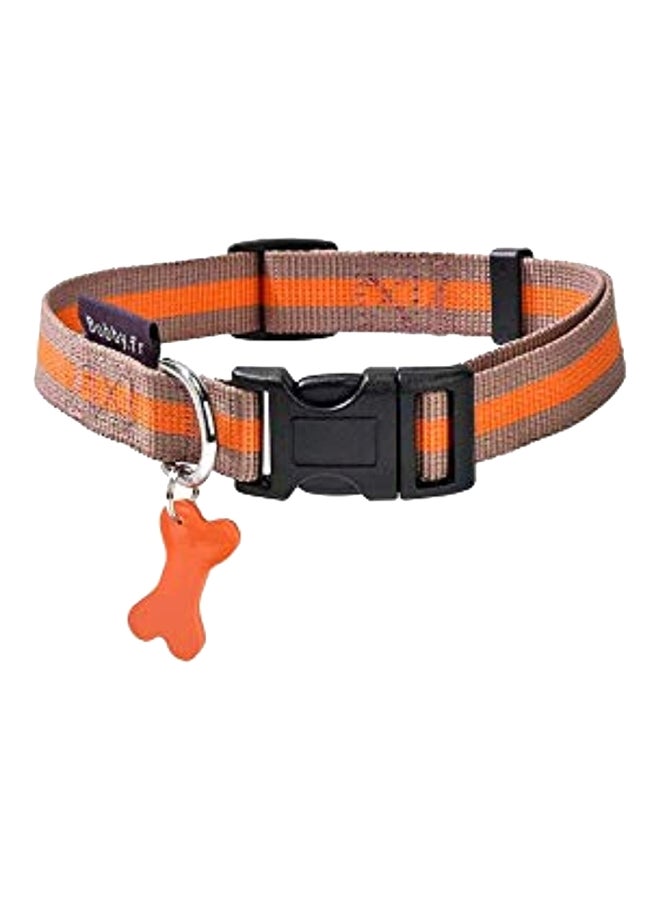إسكدنيا Arlequin Dog Collar Orange/Brown M