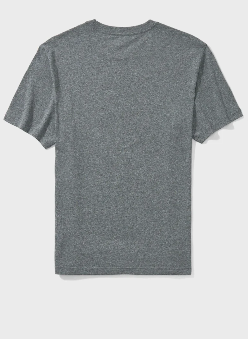 American Eagle Graphic Crew Neck T-Shirt