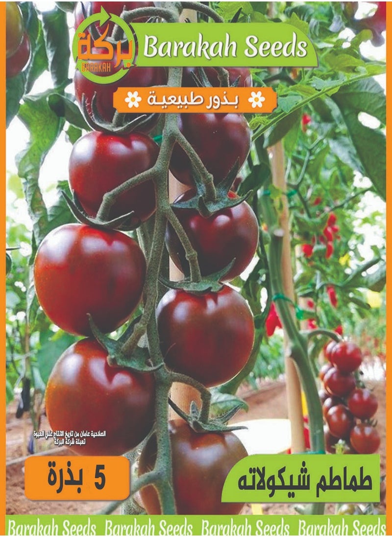 Generic High germination rate seeds - Chocolate tomatoes 