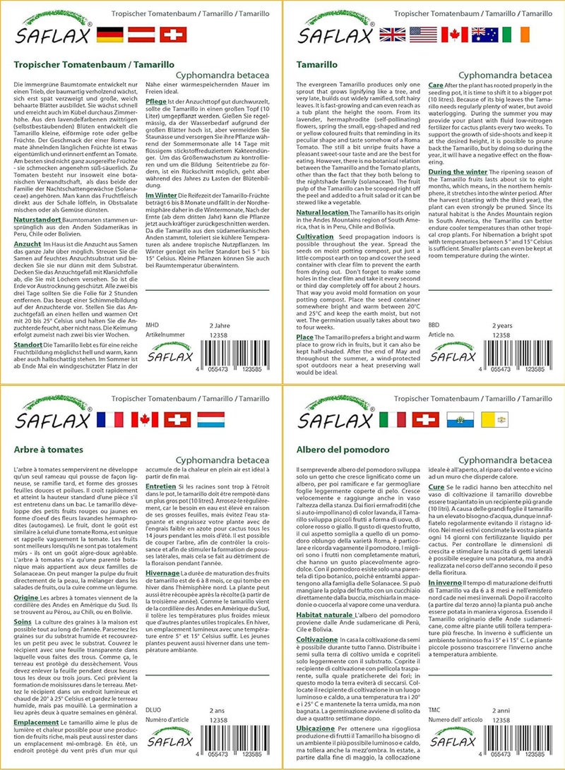 GGOOT Tamarillo - 50 Seeds - Cyphomandra betacea - Image 3