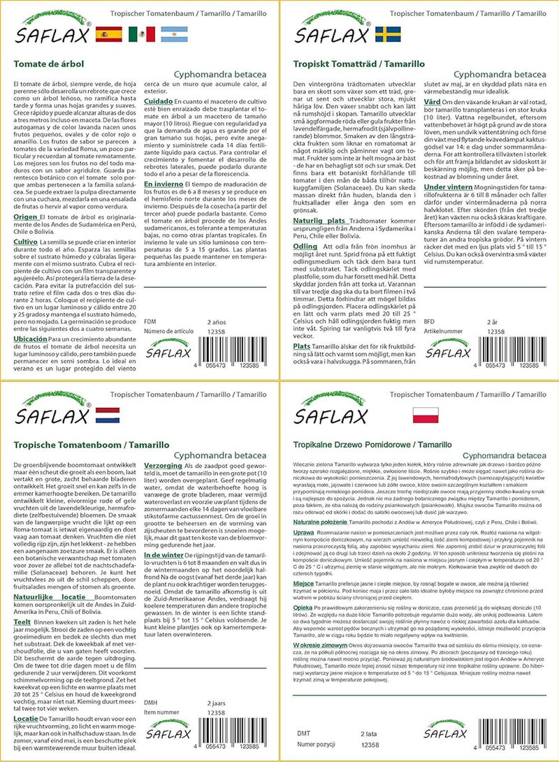 GGOOT Tamarillo - 50 Seeds - Cyphomandra betacea - Image 4