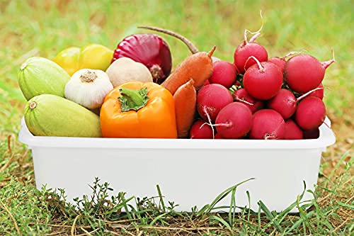 WYT 5-Pack Commercial Bus Tubs Box/Tote Box, White Plastic Storage Bin with Handles/Wash Basin Tub (8 Liter) - Image 4