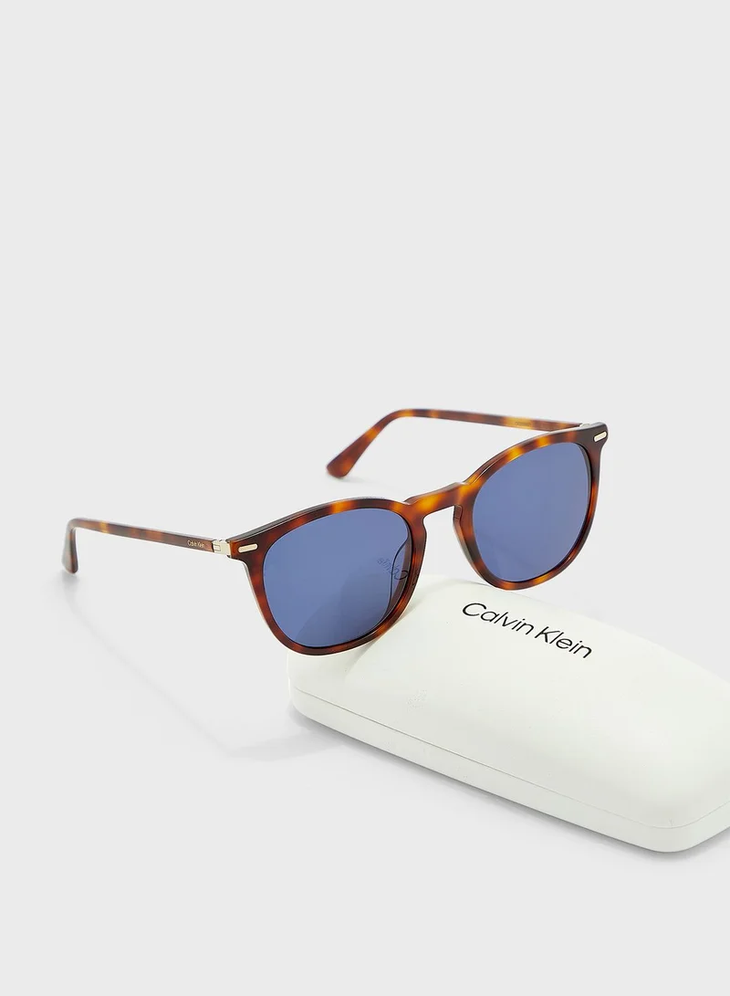CALVIN KLEIN Wayfarers Sunglasses