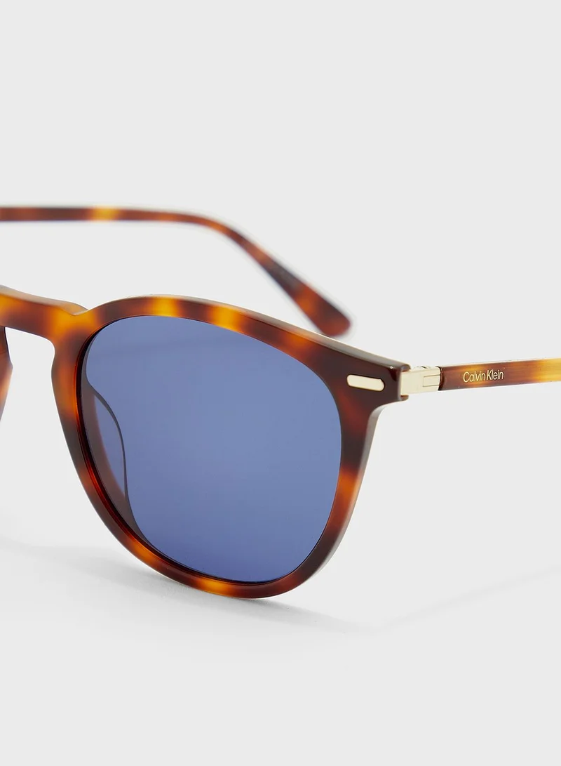 CALVIN KLEIN Wayfarers Sunglasses