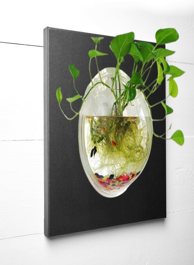 Premium Wall Hanging Fish Bowl 9 inch Acrylic for Your Home and Office with Free Color Pebbles (9 Inch, White) - Image 1