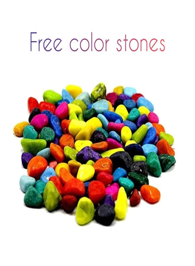Premium Wall Hanging Fish Bowl 9 inch Acrylic for Your Home and Office with Free Color Pebbles (9 Inch, White) - Image 5