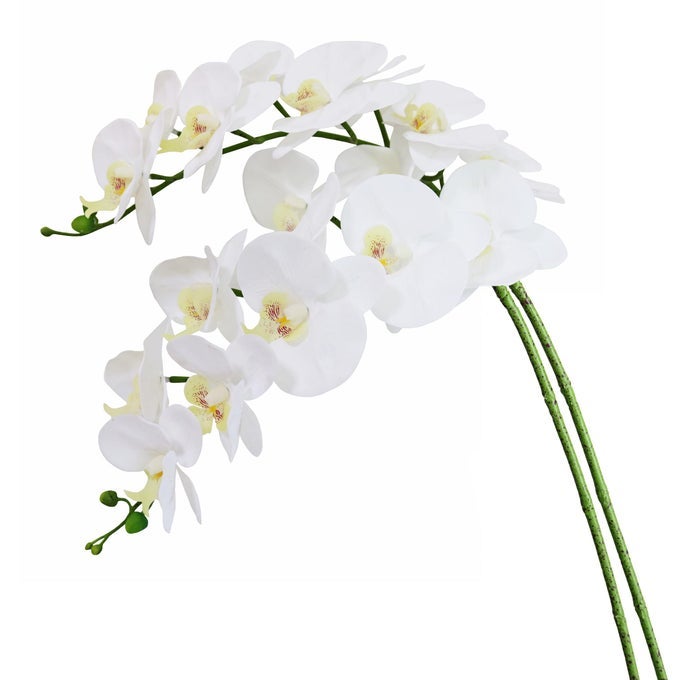 38 Inch Artificial Phalaenopsis Flowers Branches Real Touch Not Silk Orchids Flowers for Home Office Wedding DecorationPack of 2 White