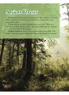 Amazon Rainforest  - Image 4