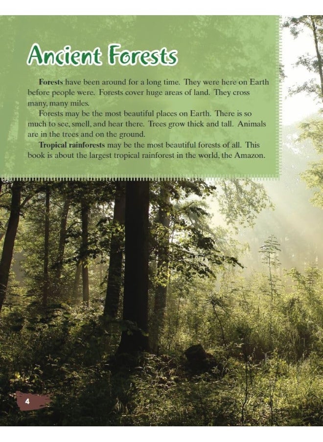 null - Amazon Rainforest - Image 1