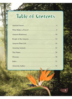 Amazon Rainforest  - Image 3