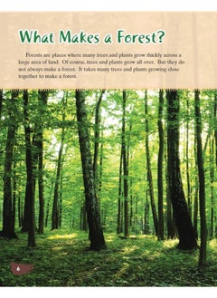 Amazon Rainforest  - Image 5